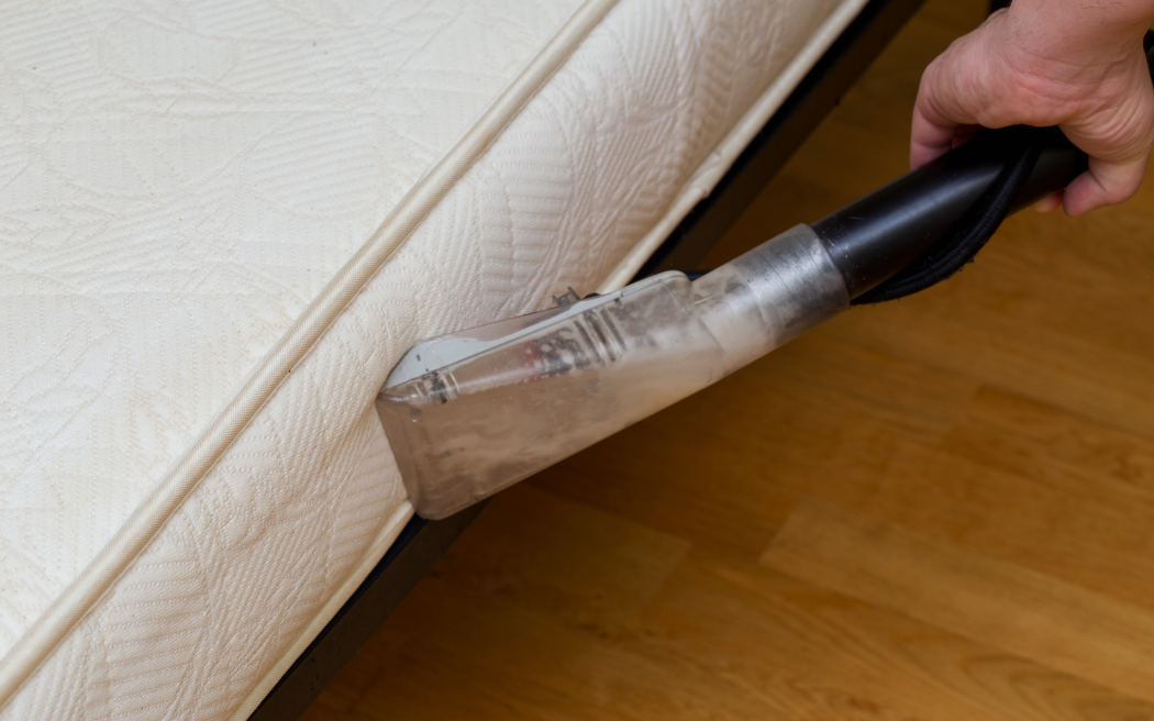 Lavado de muebles